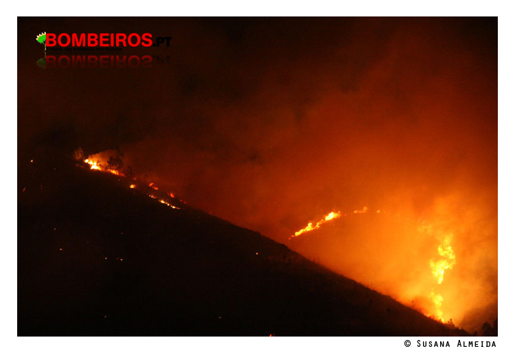 Imagem 16