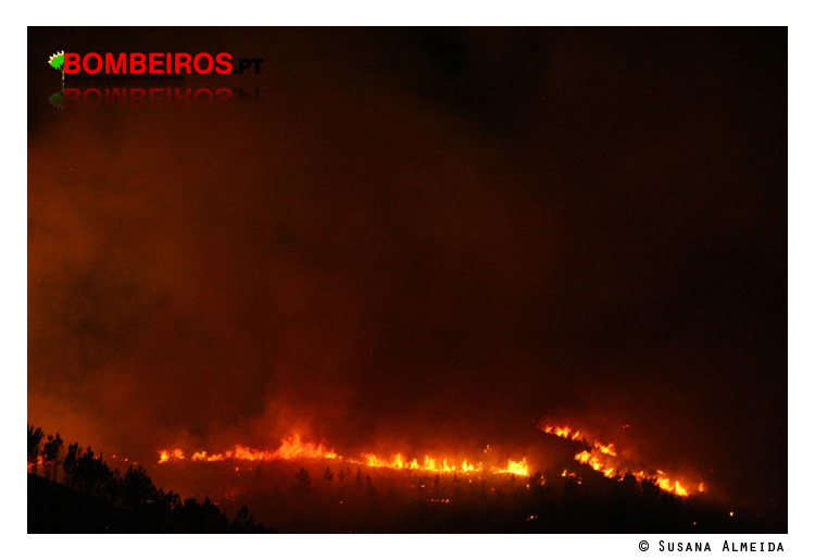 Imagem 19