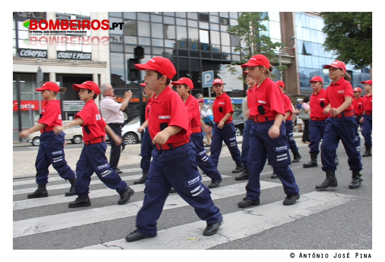 Imagem 31