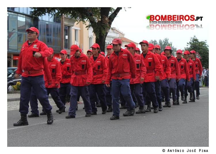 Imagem 33
