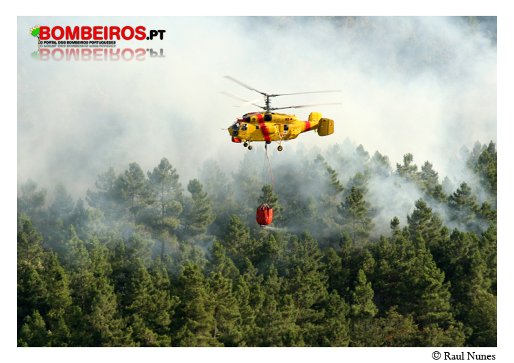 Imagem 15