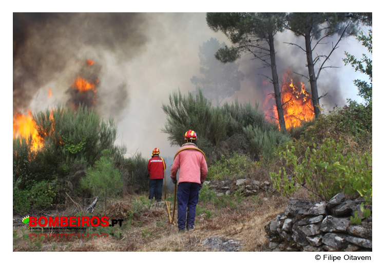 Imagem 06