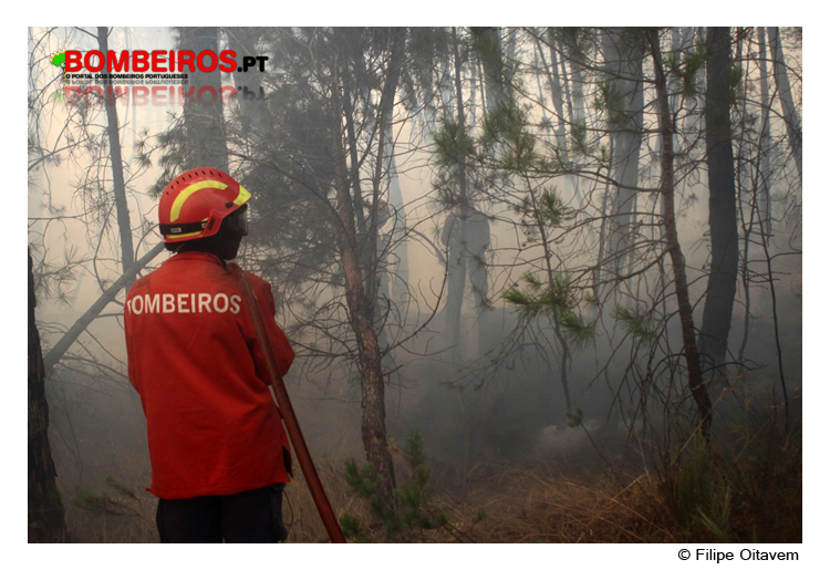 Imagem 21