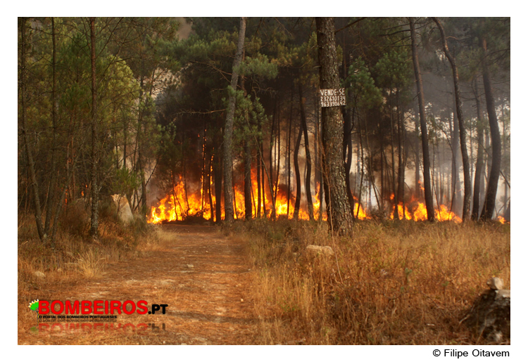 Imagem 42