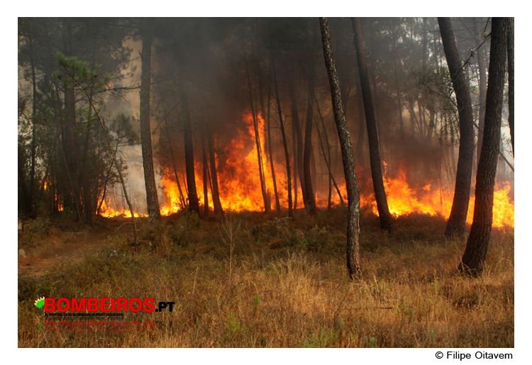 Imagem 45
