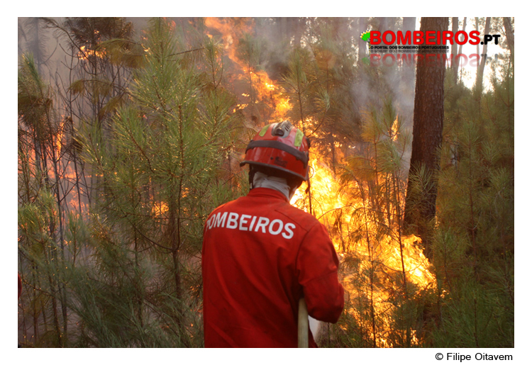 Imagem 71