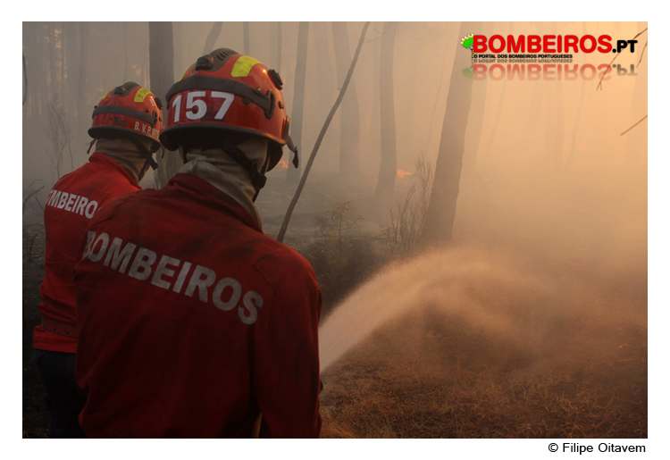 Imagem 83