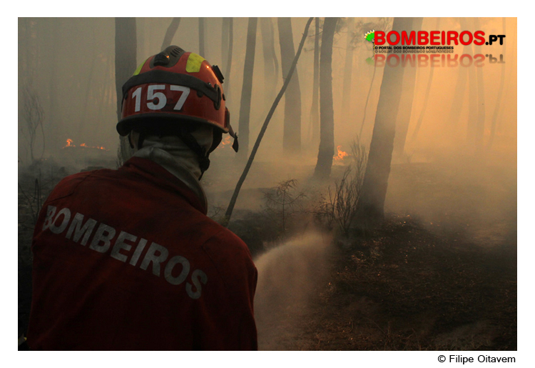 Imagem 84