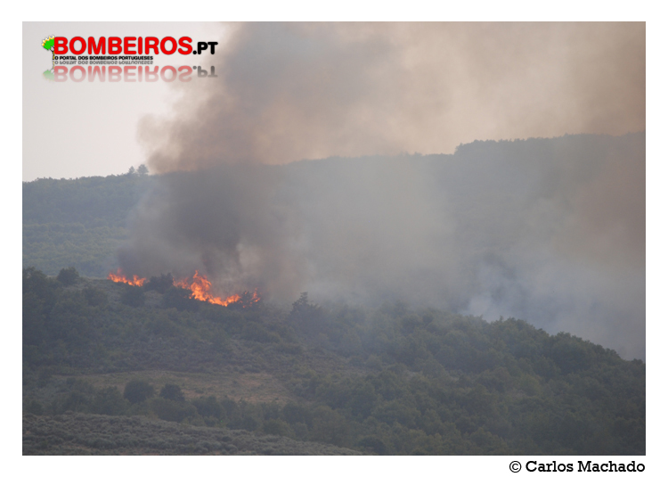 Imagem 01