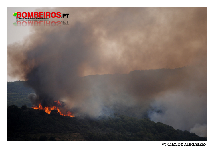 Imagem 04