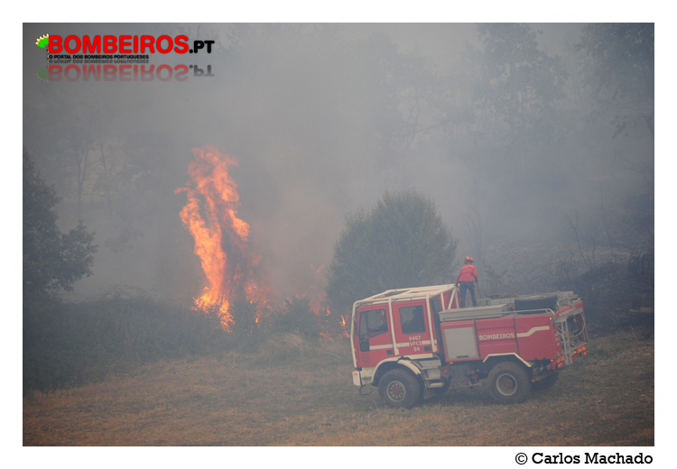 Imagem 10