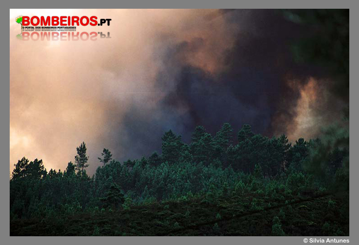 Imagem 09