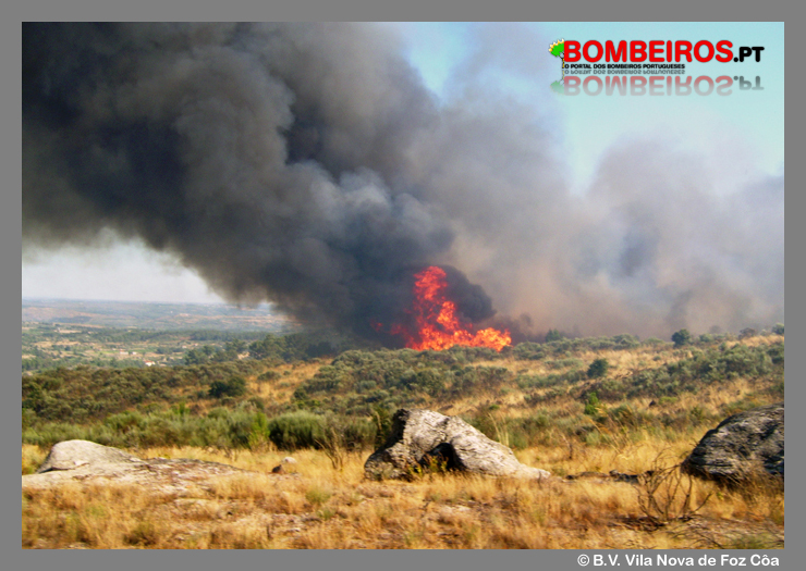 Imagem 06