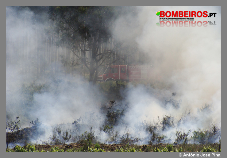 Imagem 08