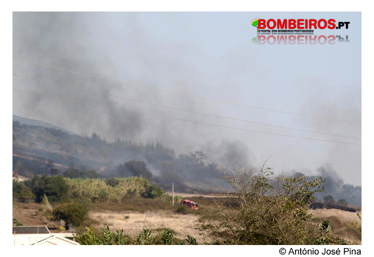 Imagem 10