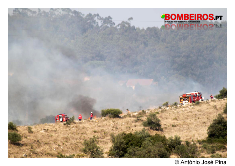 Imagem 11