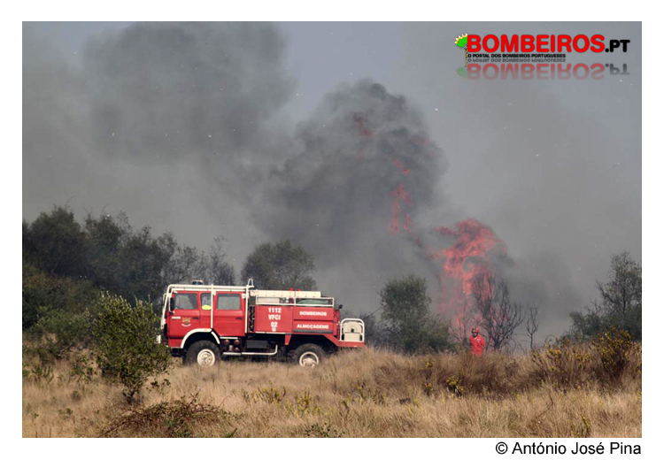 Imagem 17