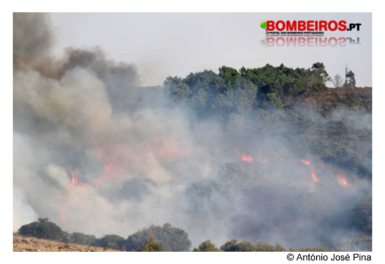 Imagem 38