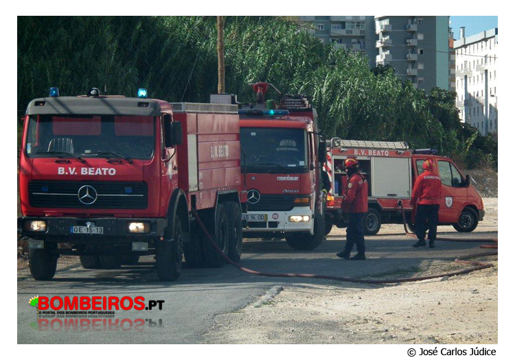 Imagem 14