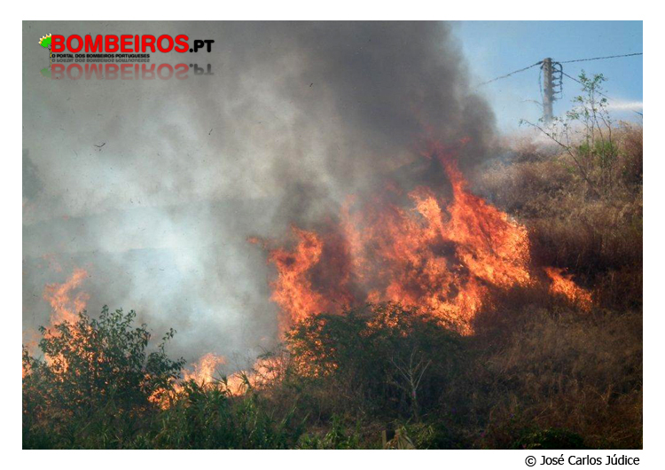 Imagem 18