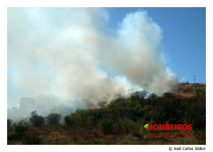 Imagem 06
