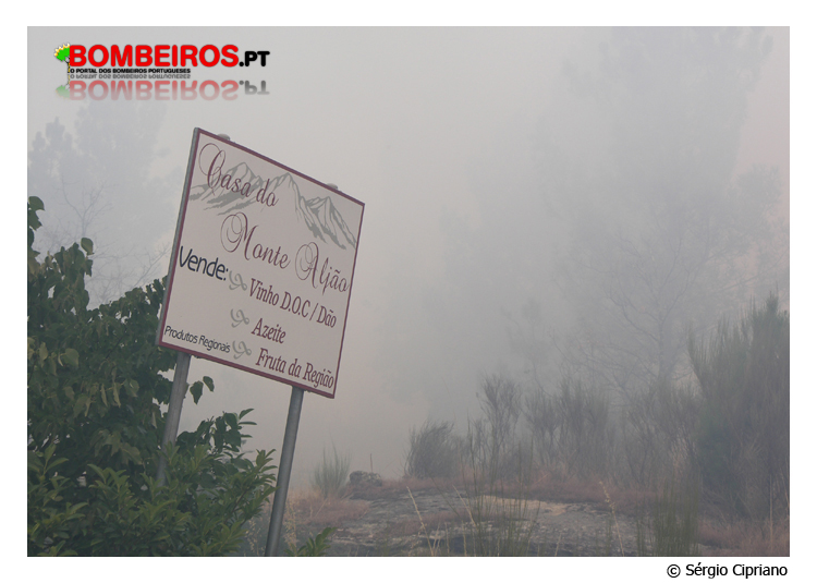 Imagem 15