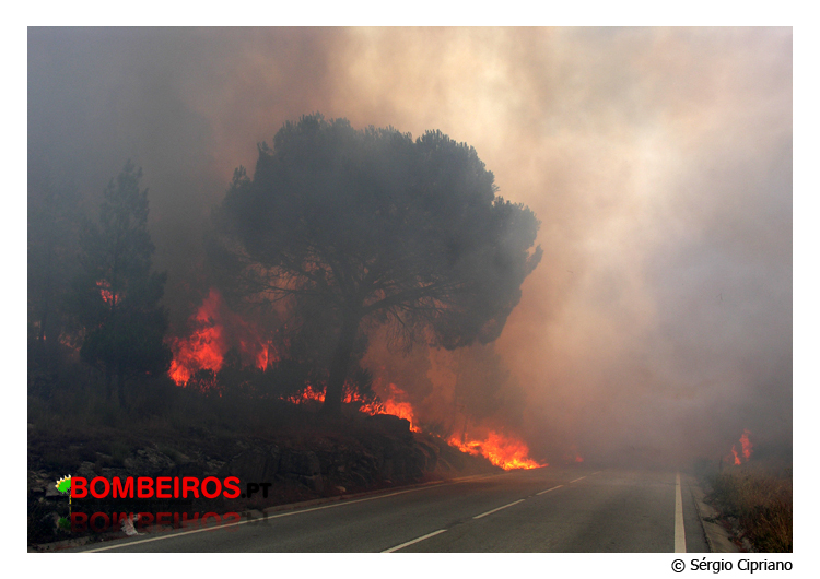 Imagem 18