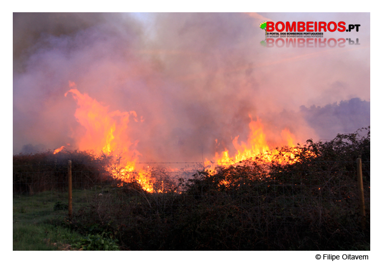 Imagem 22