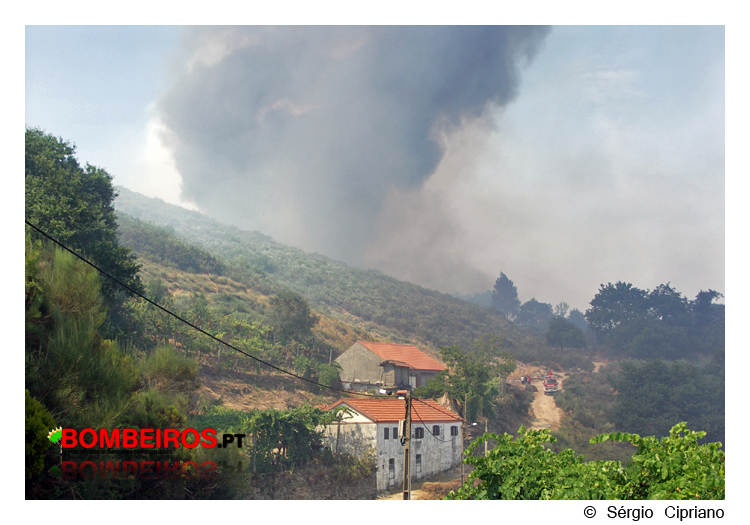 Imagem 11