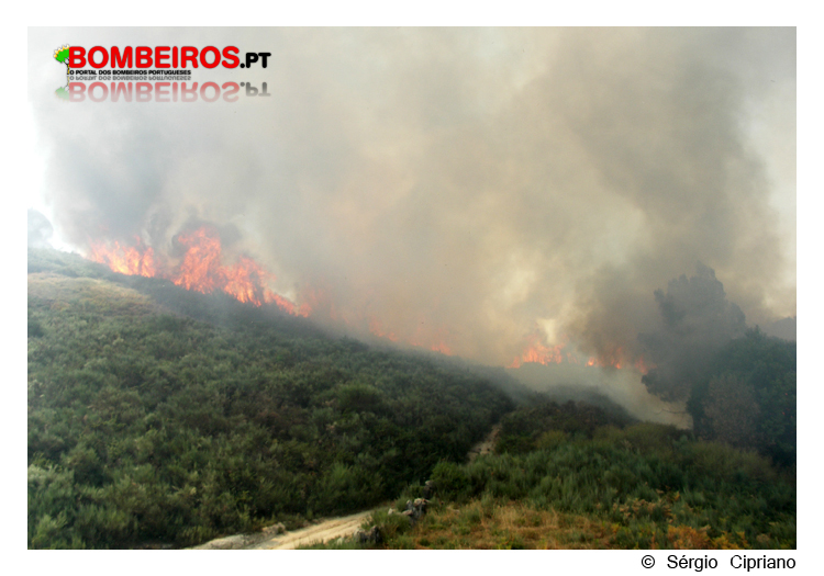 Imagem 14