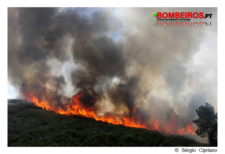 Imagem 19
