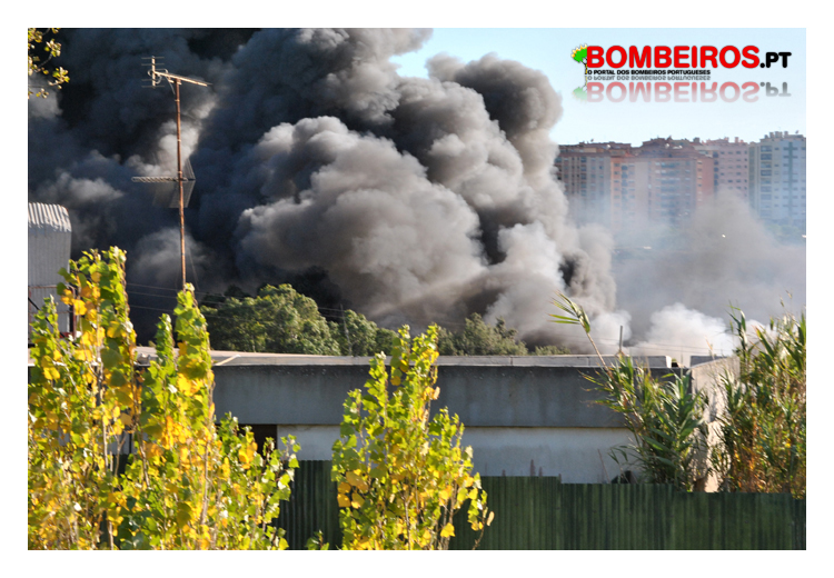 Imagem 03