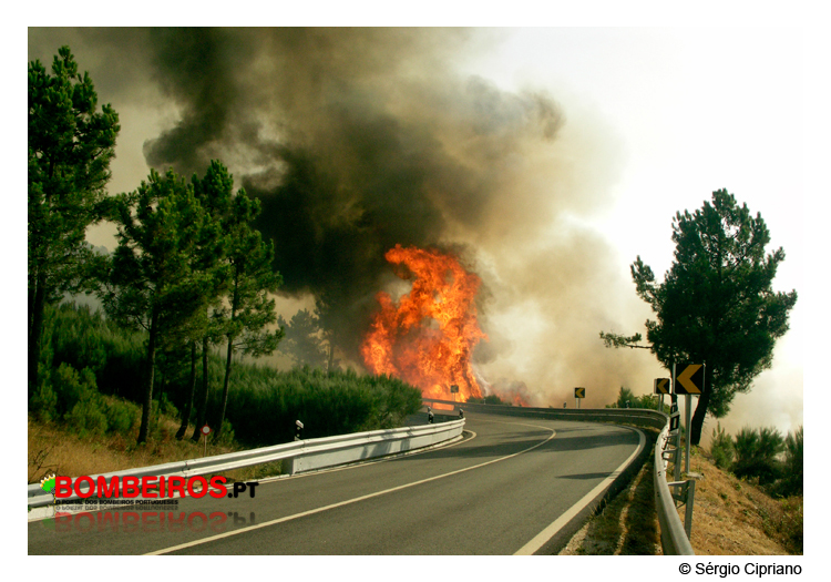 Imagem 12