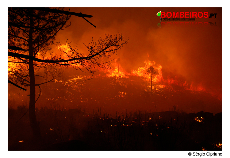 Imagem 41