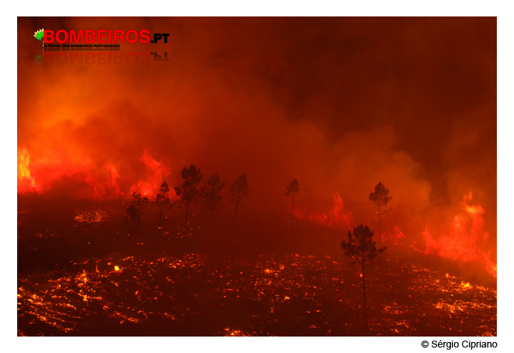Imagem 43