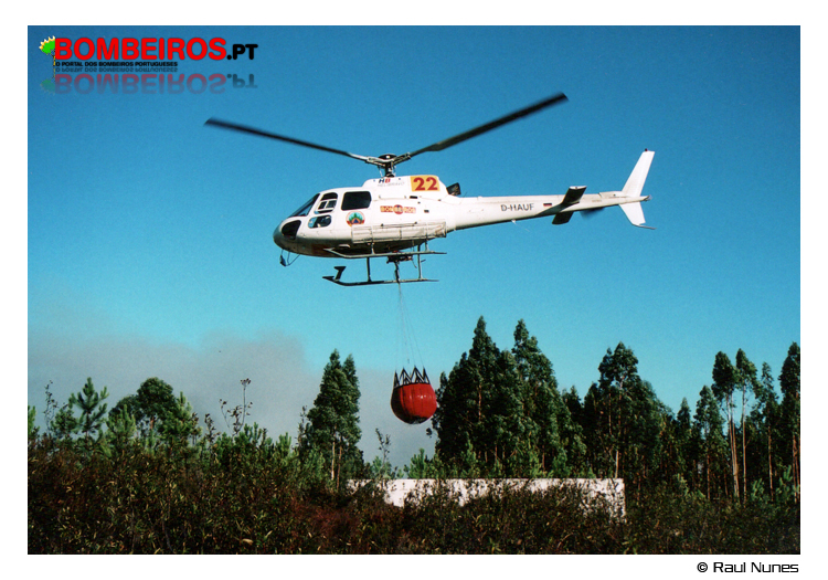 Imagem 13