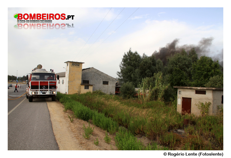 Imagem 13