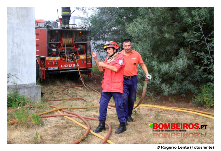 Imagem 14