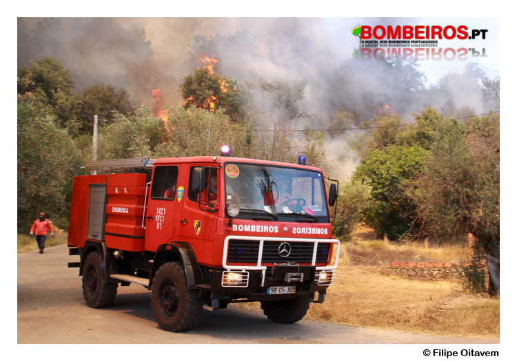 Imagem 19
