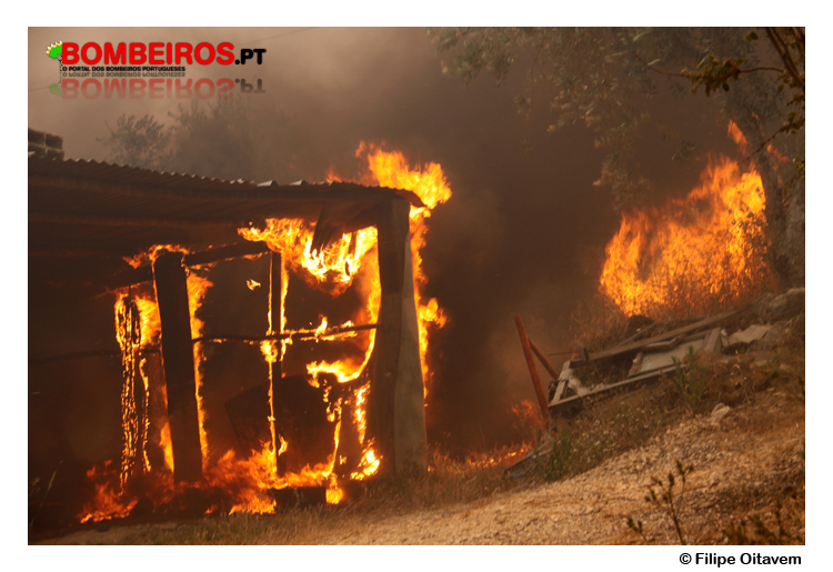 Imagem 38