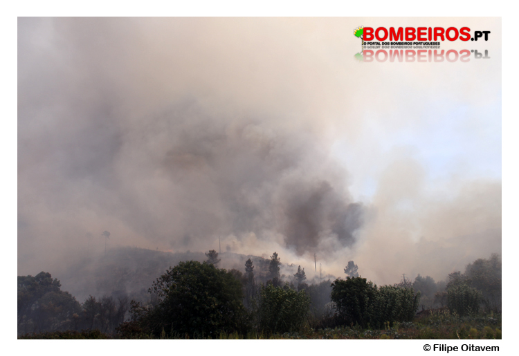 Imagem 46