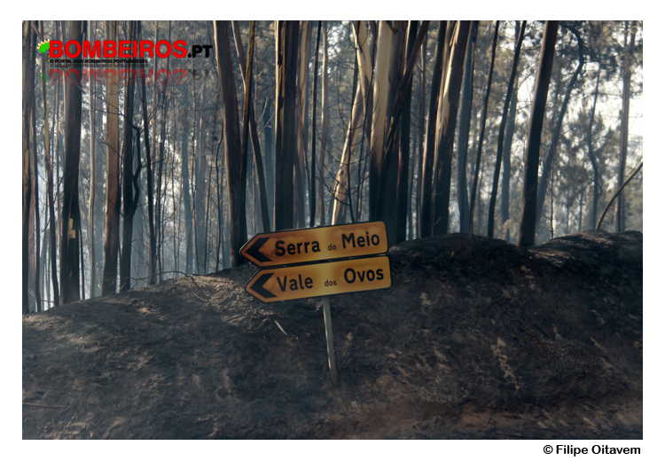 Imagem 85
