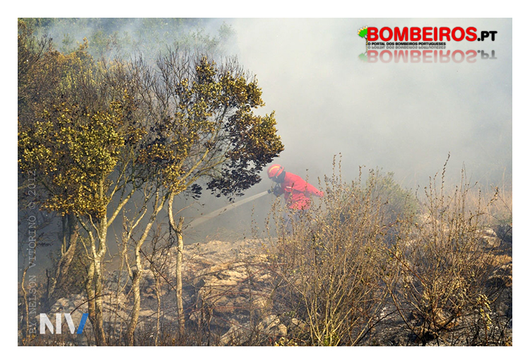 Imagem 138