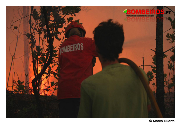 Imagem 19