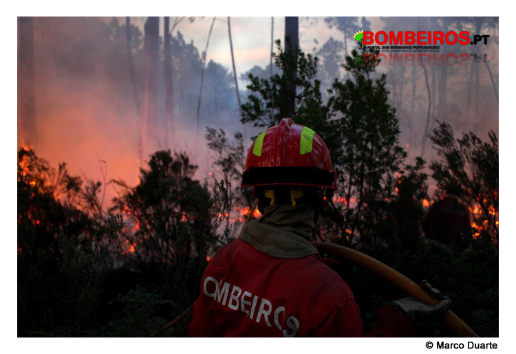 Imagem 24
