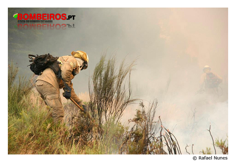 Imagem 06