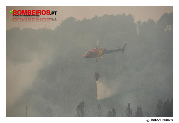Imagem 08