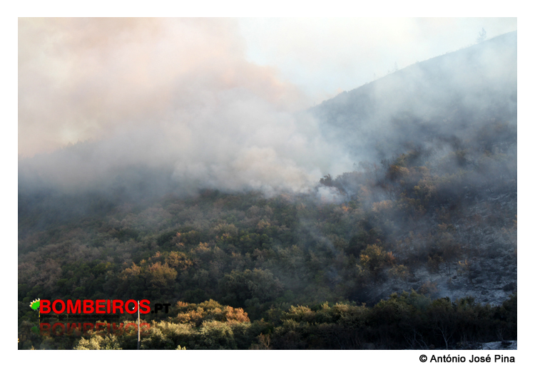 Imagem 12