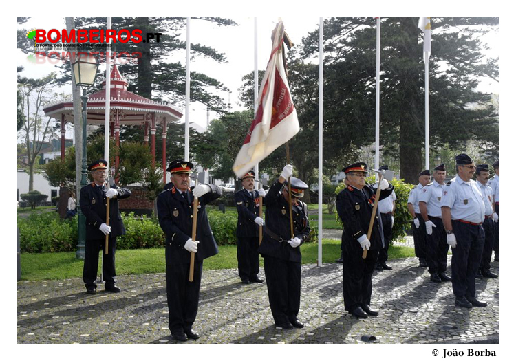 Imagem 08
