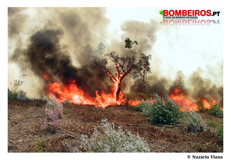 Imagem 03